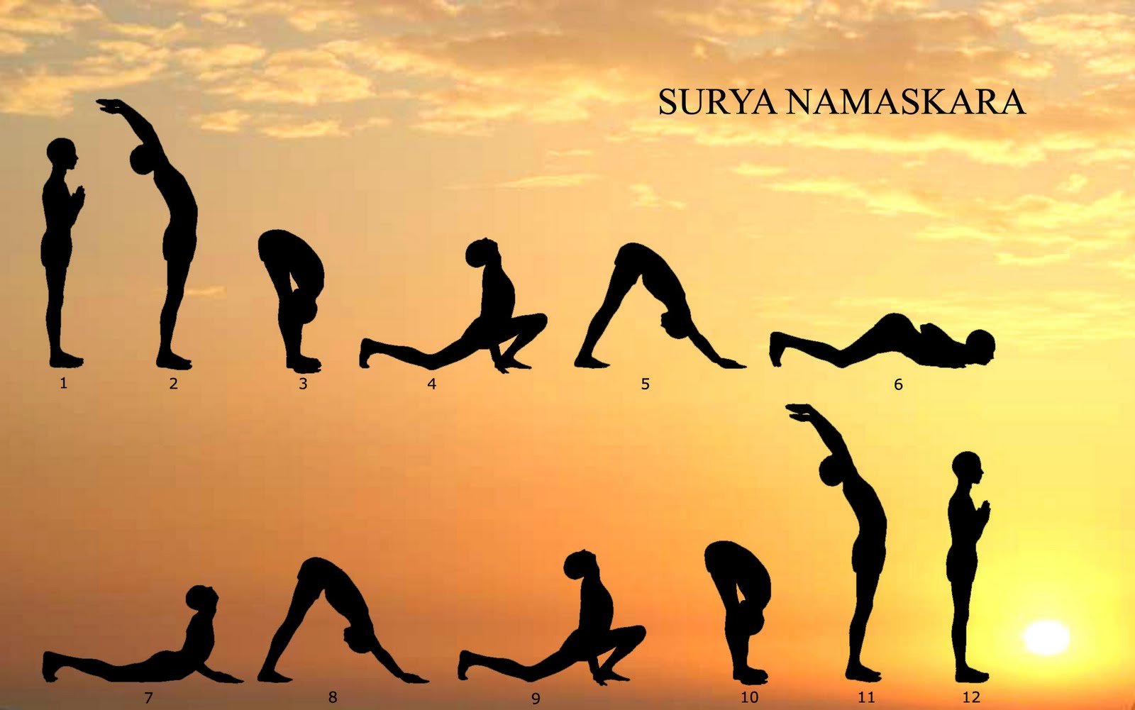 Surya Namaskar yoga